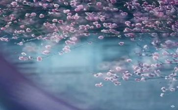 一季度安全会议讲话稿8篇
