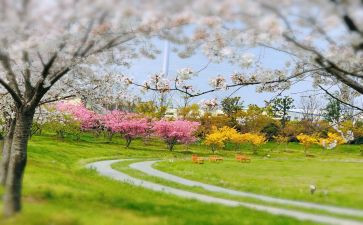 酒店一季度工作总结8篇