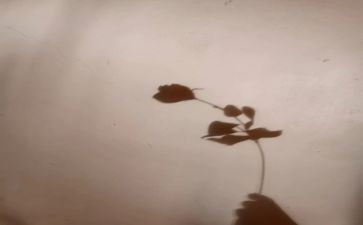 大班影子画教案优秀8篇
