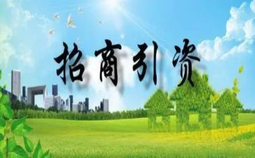 招商引资工作总结范文通用6篇