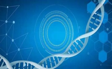 医学生实习结束后心得体会7篇