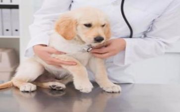医院年终个人总结参考7篇