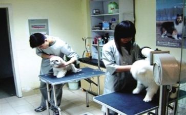 医院述职报告范文精选8篇