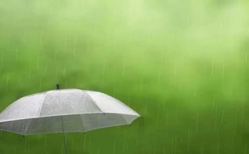 幼儿园中班雨的教案和反思参考5篇