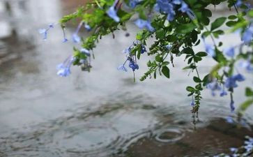 我和雨的作文7篇