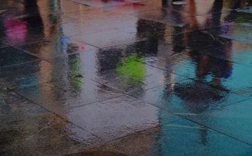《下雨了》教学反思8篇