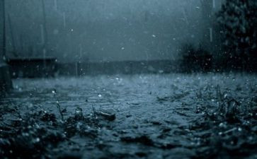 我与雨的故事作文8篇