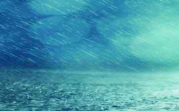 雨中的读后感5篇