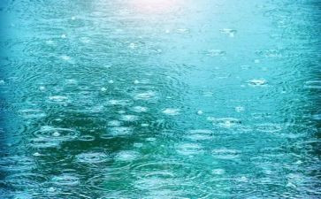 关于雨的调查报告范文优质5篇