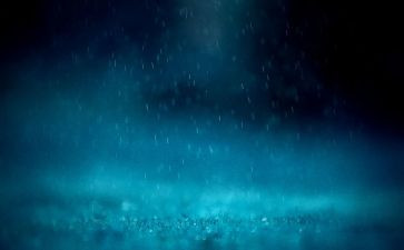 春天的雨四年级作文优秀8篇