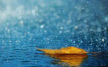 幼儿园雨的教案模板5篇