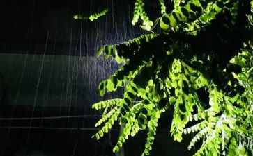我与雨的故事作文优秀8篇