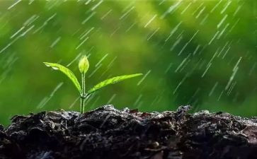 我和雨的作文优质8篇