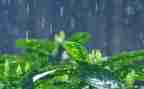 幼儿园雨的教案优质7篇