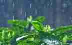 雨的故事演讲稿优秀7篇