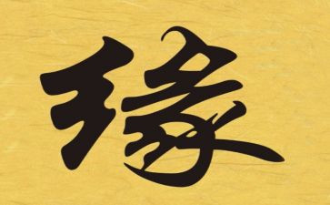 小鸟缘的读后感5篇