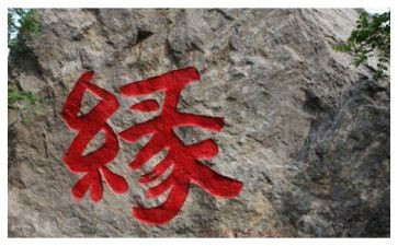 书香缘演讲稿最新8篇