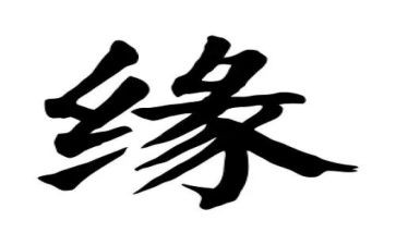 书香缘演讲稿优质7篇