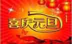 演讲稿元旦800字5篇