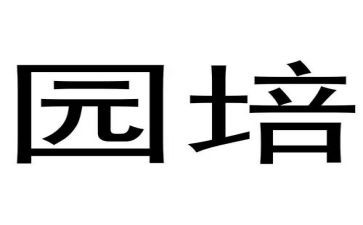 伟才幼儿园培训心得参考7篇