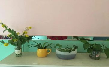 幼儿园培训的心得体会范文6篇
