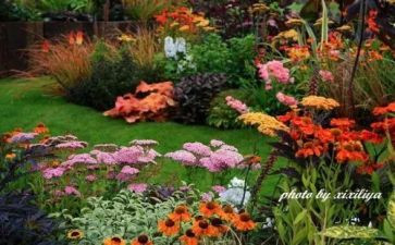 策划校园艺术活动方案参考7篇