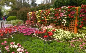 校园艺术节活动策划最新8篇