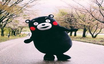 悦子的森林读后感参考7篇