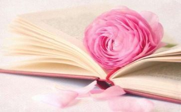 特色阅读活动方案5篇