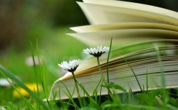 阅读课教学计划6篇