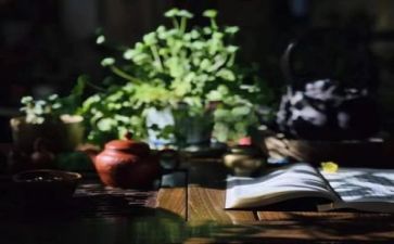 开展阅读日活动总结7篇