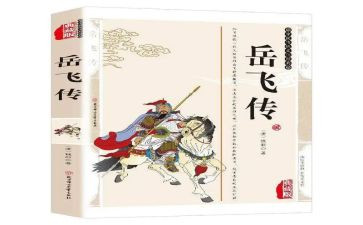 岳飞传的读后感600字6篇
