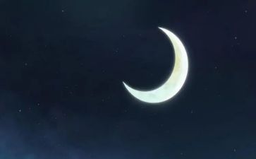 谈月亮读后感精选5篇