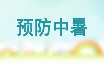 预防网络诈骗的活动总结6篇