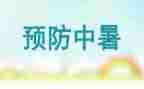 预防网络诈骗的活动总结6篇