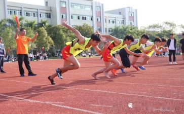 校运会志愿活动活动总结8篇