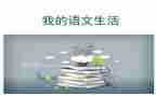 我们的语文老师作文7篇