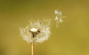 有关再见的作文8篇