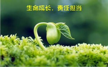 责任成长类作文7篇