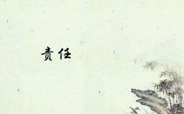 责任制述职报告7篇