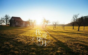2024崭新的我作文600字6篇