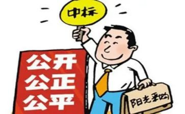 招标员年度工作总结7篇