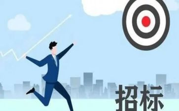 招标代理年度工作总结5篇