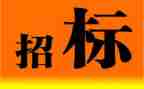 2024年招标代理工作总结8篇
