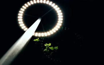 照亮生命作文通用6篇