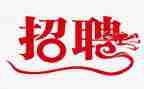 招聘工作的总结报告7篇