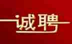 招聘处工作总结最新6篇