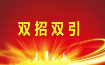 区招商工作总结通用8篇