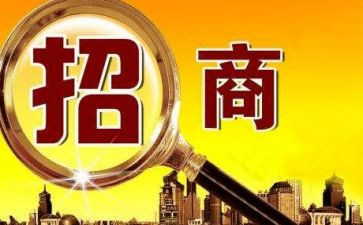 2024年招商工作总结范文8篇