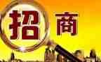 2024年招商工作总结范文8篇